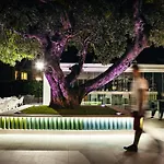 Hotel Primavera Park Benidorm